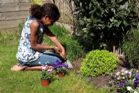 Girl planting Pansies in border 