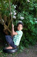 Boy playing on rope swing in the garden