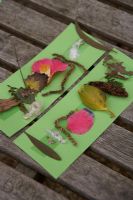 Collection of petals, leaves, catkins etc by school children, stuck to paper and laid on bench
