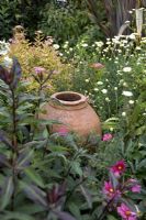 City garden showing urn surrounded by soft planting including hebe, cosmos and spiraea