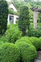 Buxus sempervirens - Box balls and Taxus baccata - Yew columns in front of summer house
