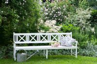 White wooden bench surrounded by, Hosta undulata 'Univittata', Stachys byzantina ''Silver Carpet', Aruncus sylvestris, Cornus elegantissima 'Alba', Rosa 'Constance Spry', Rosa 'Paul's Himalayan Musk'