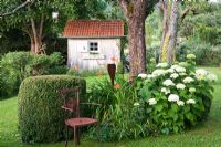 Tool shed, Hermeocallis, Buxus sempervirens, Hydrangea arborescens 'Anabelle' with rusted metal chair