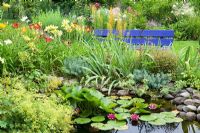 Garden pond with Nymphaea - Water Lilies and surrounded by Hemerocallis, Euphorbia mysinitis, Ligularia przewalskii, blue wooden bech