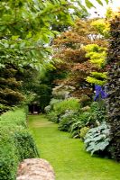 Yellow border - Kiftsgate Court Garden, Chipping Campden, Gloucestershire, UK