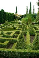 Geometric knot garden of Buxus - Box framed within Taxus - Yew walls, with central basket pond from the Great Exhibition of 1851. Bourton House, Bourton-on-the-Hill, Moreton-in-Marsh, Glos, UK
