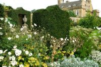Taxus - Yew clipped into shapes like pointed arches back borders in the White Garden containing Rosa, Japanese Anemones and Eryngiums. Bourton House, Bourton-on-the-Hill, Moreton-in-Marsh, Glos, UK