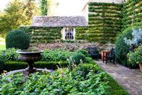The Fountain Garden contained by walls covered by trained Pyracantha and Buxus - Box edged beds containing variegated Fuchsia and purple Heliotrope. Bourton House, Bourton-on-the-Hill, Moreton-in-Marsh, Glos, UK