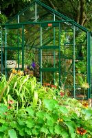 Greenhouse at end of hot border including Tropaeolum - Nasturtiums, Hemerocallis - Daylilies, Rudbeckias and Heleniums. Beggars Knoll, Newtown, Westbury, Wiltshire, UK
