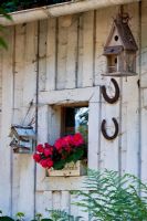 White painted wood wall of summerhouse with horseshoes, Begonia 'Elatior' in window box and nesting boxes