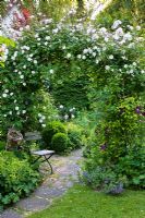 Romantic garden with Rose arch over a circular patio and wooden chair. Planting includes Rosa 'Venusta Pendula', Alchemilla mollis, Buxus and Clematis 'Warzawska Nike'
