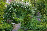 Romantic garden with Rose arch over a circular patio and wooden chair. Planting includes Rosa 'Venusta Pendula', Alchemilla mollis, Buxus and Clematis 'Warzawska Nike' 
