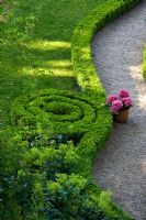 A low clipped Box hedge winding up in a spiral separates a lawn from a gravel path with a Hydrangea in a terracotta pot