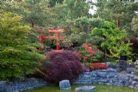 Japanese garden with rocky shore and a red painted gate half hidden among the trees. Planting includes Acer palmatum 'Dissectum Atropurpureum', Azalea, Pinus sylvestris and Ulmus