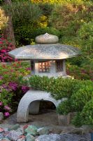 Stone lantern in a Japanese garden - Azalea japonica and Pinus sylvestris