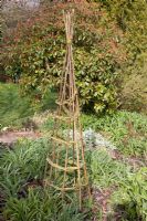 Obelisk for climbing plants. Hazel verticals with woven willow.