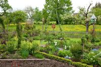 The traditional style of this rural garden with combined flower and vegetable borders fits with the surrounding flower meadows with fruit trees where a pigeon house is installed on a plinth. Borders contain Allium schoenoprasum, Lamprocapnos spectabilis 'Alba', Myosotis, Rumex acetosa and Tulipa 