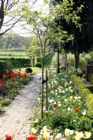 Spring garden with beds of brightly coloured Tulips at Bed and breakfast de Lievendael in Velp, Brabant, Holland