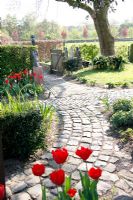Spring garden with borders of Tulips and path at Bed and breakfast de Lievendael in Velp , Brabant , Holland