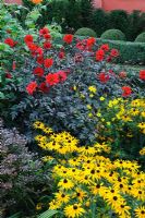 Hot colour borders in late Summer with Rudbeckias, Kniphofia and Dahlias - Wyken Hall, Suffolk