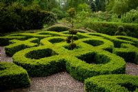 A Buxus Parterre and Knot Garden - Tilford Cottage, Surey 