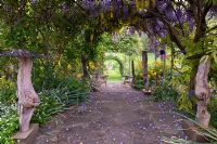Laburnum and Wisteria tunnel, lined with Sculptures, Tilford Cottage, Surrey
 