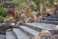 Ferocactus Hamatacanthus - El Jardin de Cactus, Lanzarote, Canary Islands