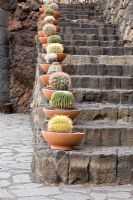 Lava stone steps, edged with clay pots planted with Cacti variety, including Ferocactus.  El Jardin de Cactus, Lanzarote, Canary Islands.  Designer -  Cesar Manrique