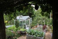 Raised Vegetable beds with greenhouse - Godshill Open Gardens