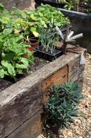 Raised beds made from old sleepers with metal pins at corners
