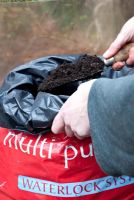 Planting Dahlia tubers - transferring compost from bag to pot