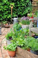 Garden corner with reclaimed brick path, wooden trug with garden tools and container herbs and salad vegetables, Norfolk, England, may
