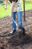 Planting a herbaceous border - adding compost before planting