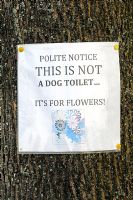 Notice pinned on tree above a tree pit saying - Polite Notice, This is Not a Dog Toilet - It's for Flowers.