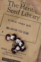 Phaseolus vulgaris. Seeds of Climbing French Bean 'Majorcan Pea Bean'