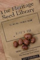 Phaseolus vulgaris. Seeds of Climbing French Bean 'Birds Egg'
