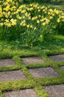 Paving slabs edged with grass. Mien Ruys Tuinen, Dedemsvaart, Netherlands