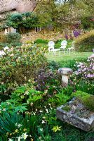 Border in front of house includes azaleas, rhododendrons, hellebores, epimediums and alpines in a stone trought, with lawn beyond. Chiffchaffs, nr Bourton, Dorset, UK