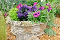 Stone container in shingled area planted with summer annuals,  Norfolk, England, June
