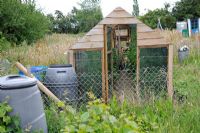 Home made greenhouse in overgrown corner of allotment, Norfolk, England, July