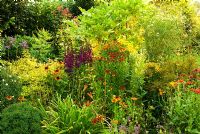 Late summer borders include Heleniums, tall Lobelias, Hemerocallis - Day Lilies and Gaillardias. Poppy Cottage Garden, Roseland Peninsula, Cornwall, UK