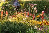 Sunken garden includes a vibrant mix of colourful perennials including Rudbeckias, Eryngiums, Kniphofias, Crocosmias, Verbena bonariensis and Echinaceas. Poppy Cottage Garden, Roseland Peninsula, Cornwall, UK
