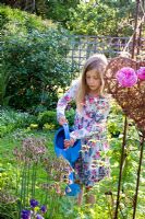Young girl watering Nectaroscordum siculum with blue can in summer garden 
