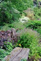 Woodland area of garden with handmade bench. Plants include Lysimachia cilata 'Firecracker' and Geranium phaeum - Rustling End

