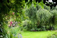 Informal country garden - Holbeach Hurn, Lincolnshire, UK, June 
