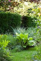 June garden - Holbeach Hurn, Lincolnshire, UK 
