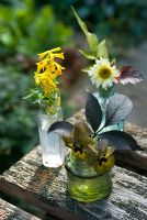 Picked flowers in antique glass bottles. Corydalis lutea, Viola 'Irish Molly' and yellow Agyranthemum 