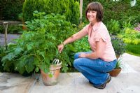Woman harvesting new potatoes from a teracotta pot on her patio using stainless steel hand fork