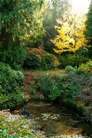 The Dell, originally dug as a source of brick, clay and flints, the pond is surrounded by ferns, hostas, and shrubs including hydrangeas, cotoneaster and choisya. Larmer Tree Gardens, Tollard Royal, Salisbury, Wilts, UK