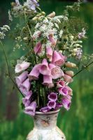 Wild flowers in a vase - Digitalis purpurea, Chaerophyllum temulem - Rough Chervil and Geranium pratense